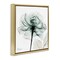 Stupell Industries Transparent Flower Blossom Floating Frame Design by Albert Koetsier